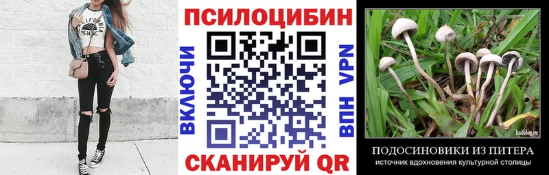 Псилоцибиновые грибы Cubensis  Обнинск 